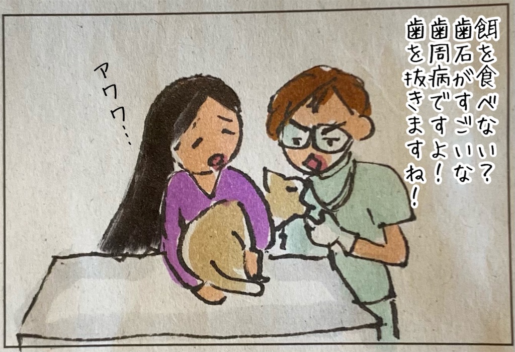 f:id:kitano-stop:20211117100310j:image f:id:kitano-stop:20211117100310j:image