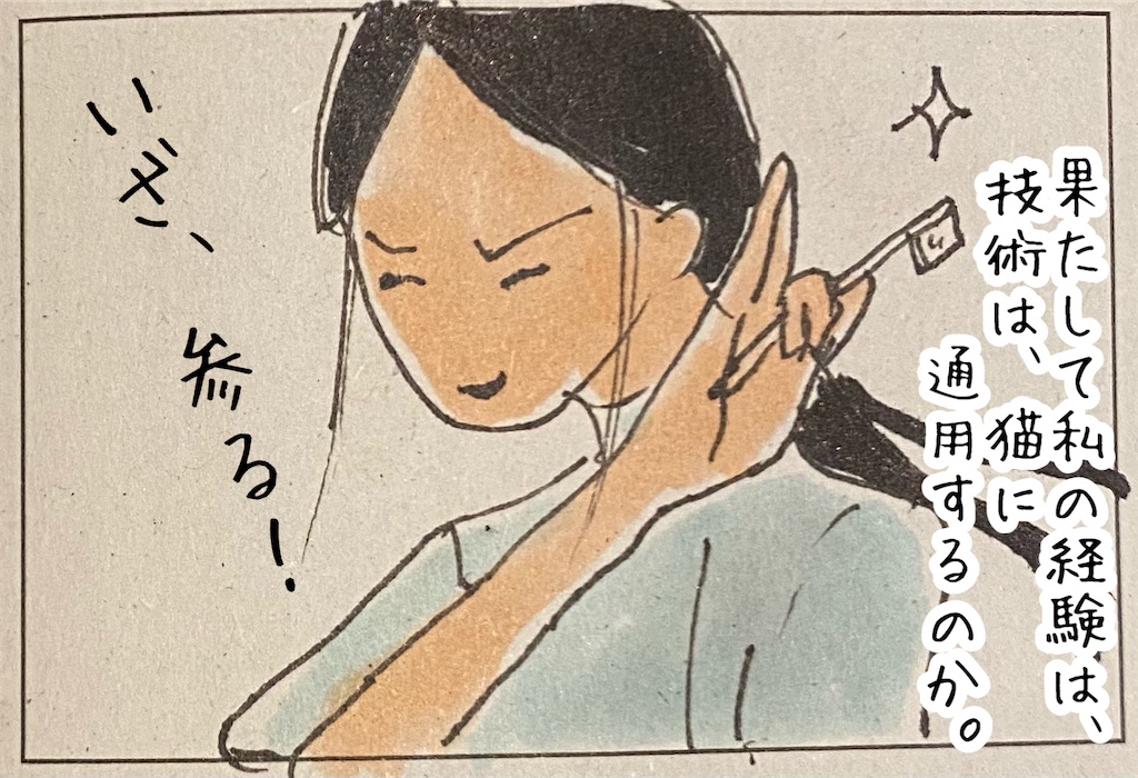 f:id:kitano-stop:20211124235002j:image f:id:kitano-stop:20211124235002j:image