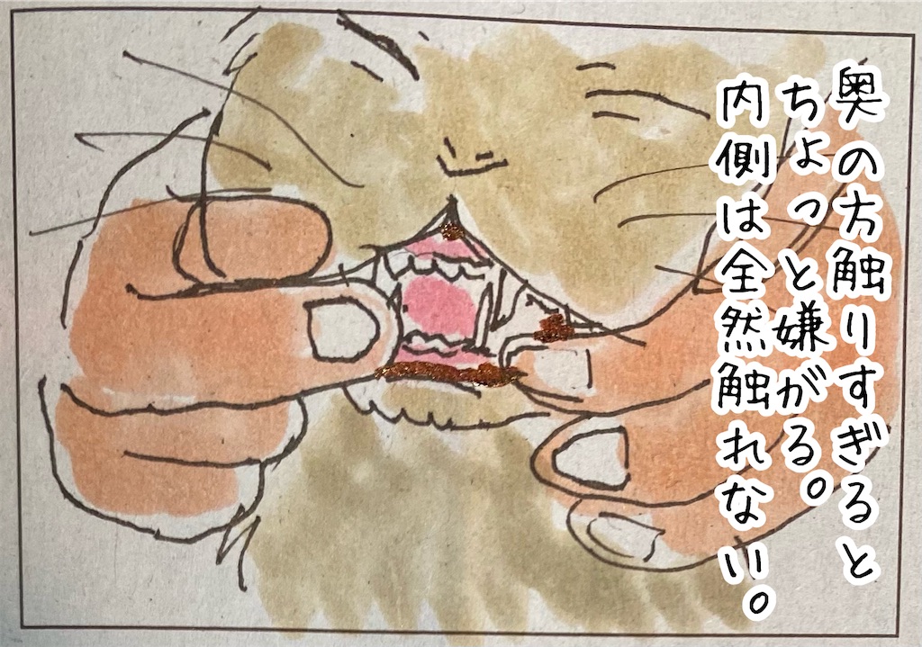 f:id:kitano-stop:20211125111655j:image f:id:kitano-stop:20211125111655j:image