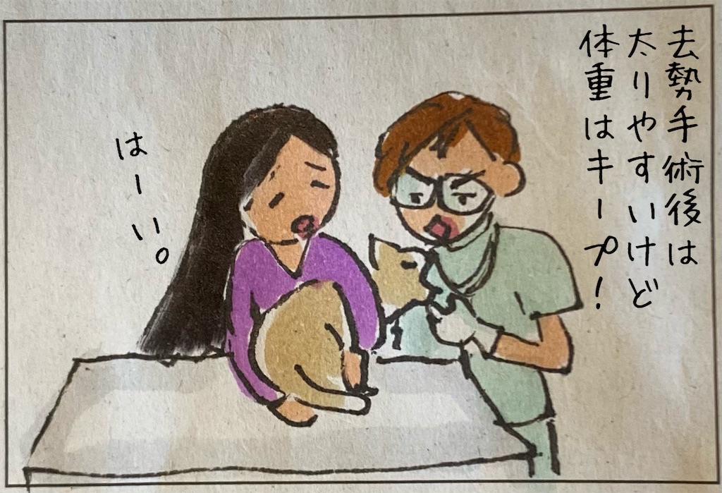 f:id:kitano-stop:20211210112757j:image f:id:kitano-stop:20211210112757j:image
