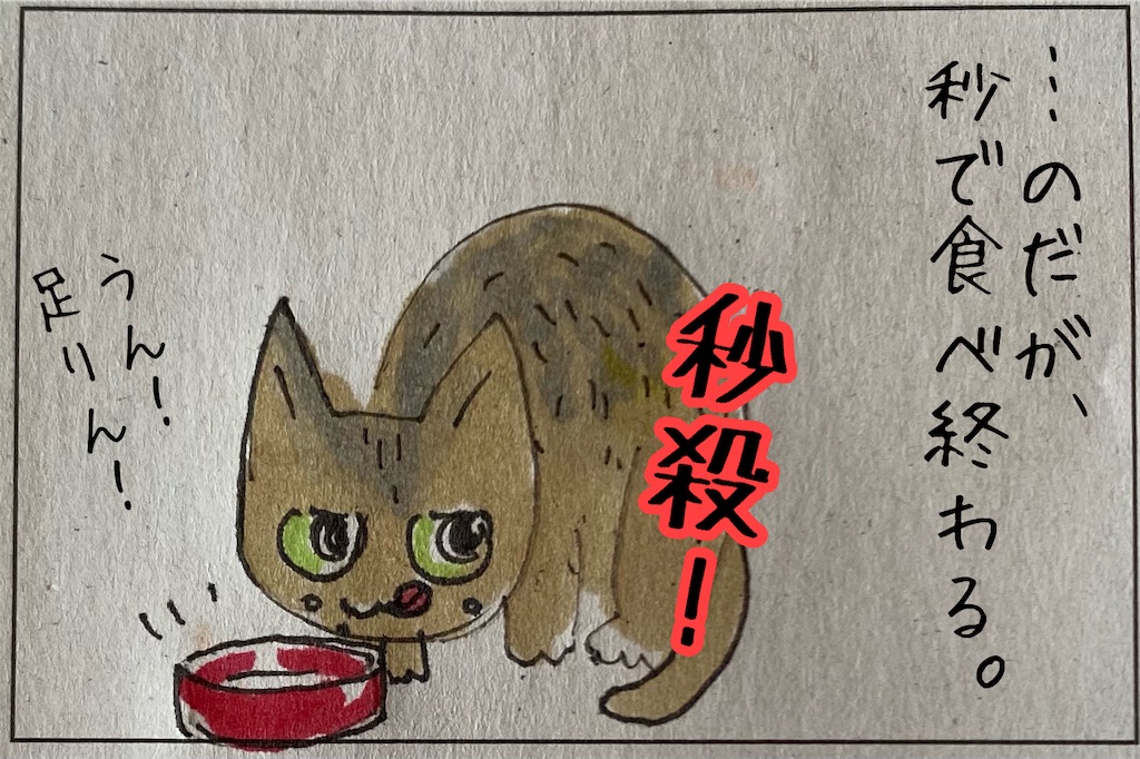 f:id:kitano-stop:20211210113941j:image f:id:kitano-stop:20211210113941j:image