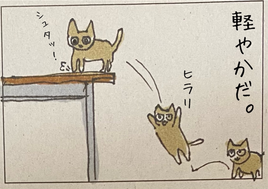 f:id:kitano-stop:20211210170511j:image f:id:kitano-stop:20211210170511j:image