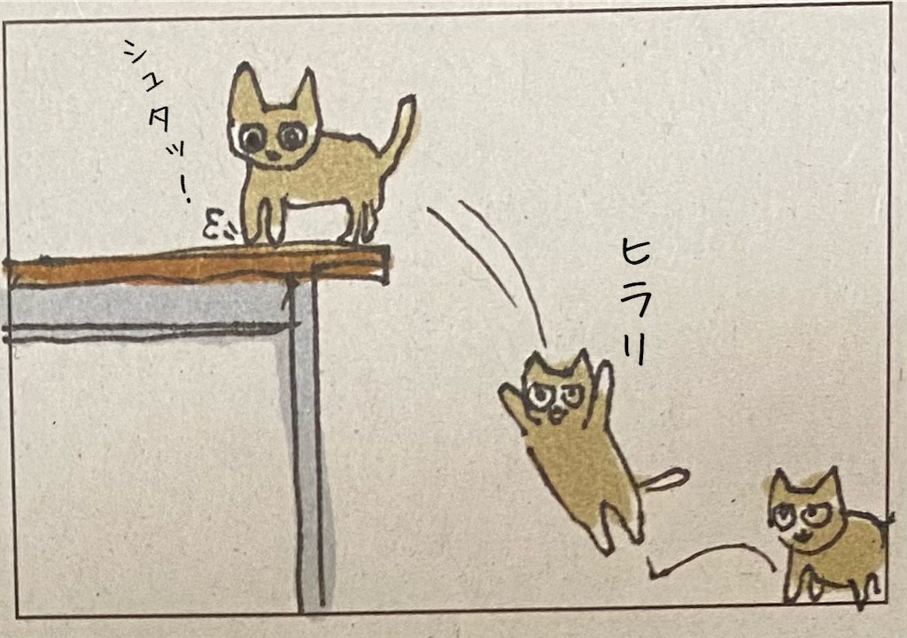 f:id:kitano-stop:20211210171414j:image f:id:kitano-stop:20211210171414j:image