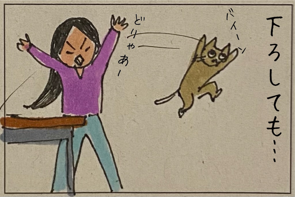 f:id:kitano-stop:20211210171947j:image f:id:kitano-stop:20211210171947j:image