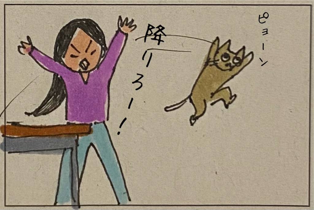 f:id:kitano-stop:20211210175822j:image f:id:kitano-stop:20211210175822j:image