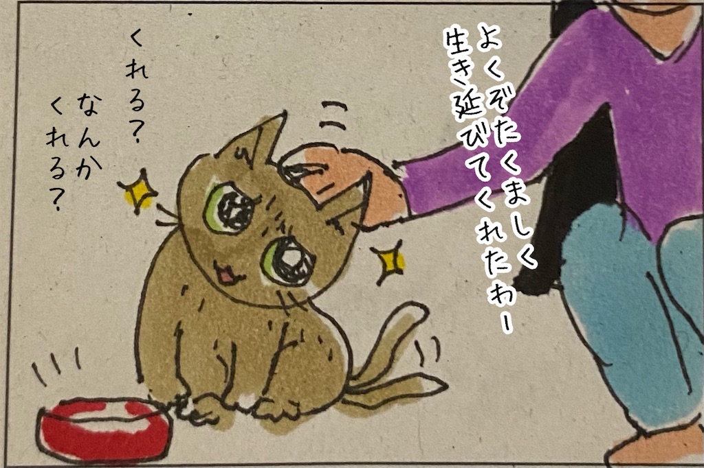 f:id:kitano-stop:20211210184725j:image f:id:kitano-stop:20211210184725j:image