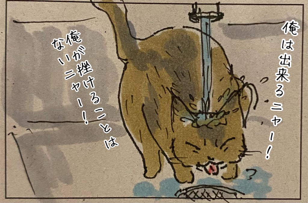 f:id:kitano-stop:20211212011129j:image f:id:kitano-stop:20211212011129j:image