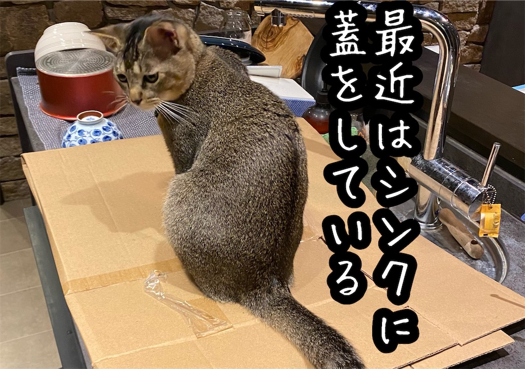 f:id:kitano-stop:20211212012928j:image f:id:kitano-stop:20211212012928j:image