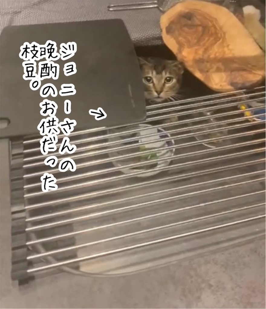f:id:kitano-stop:20211212100818j:image f:id:kitano-stop:20211212100818j:image