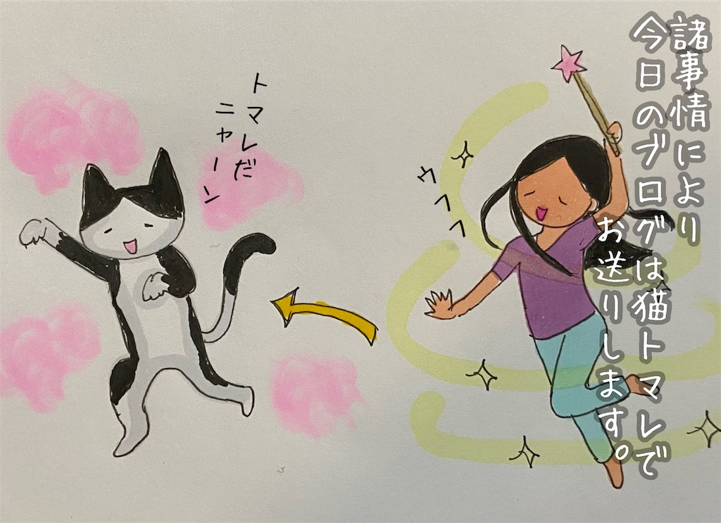 f:id:kitano-stop:20230719222744j:image