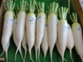 f:id:kitanoanshinichi:20110623215511j:image:medium