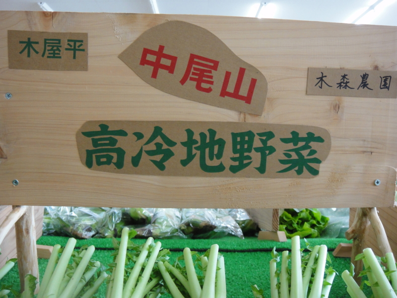 20110623215519