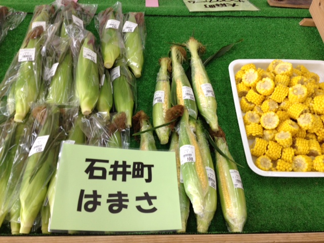 f:id:kitanoanshinichi:20120524084744j:image