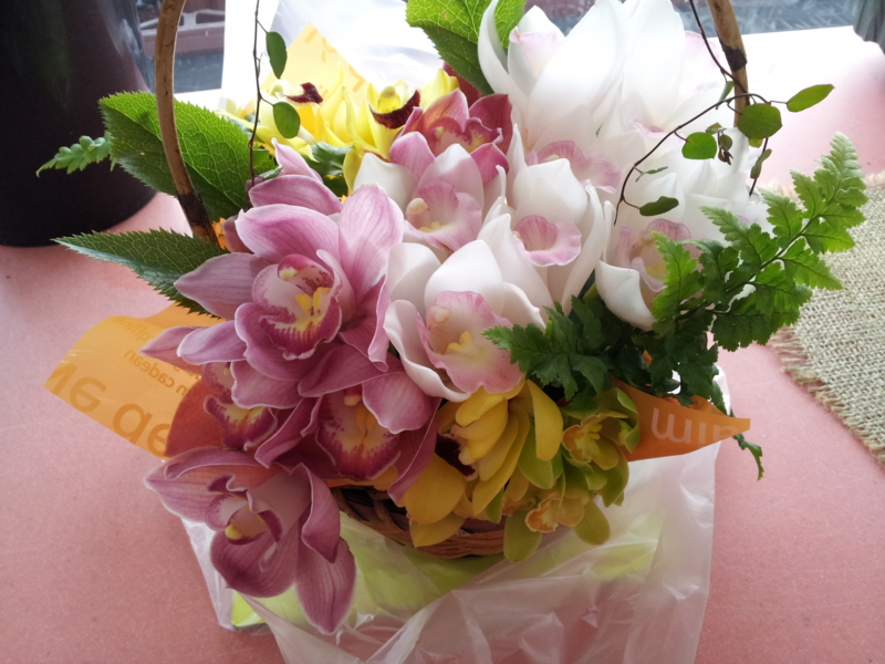 f:id:kitanoanshinichi:20130226093638j:image