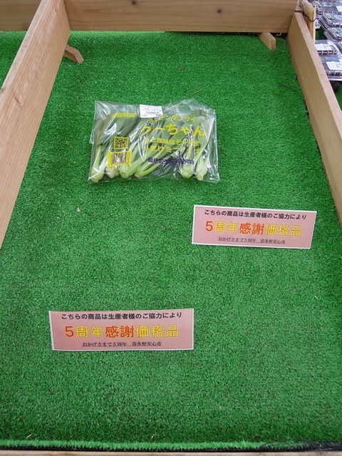 f:id:kitanoanshinichi:20130904105532j:image:w360
