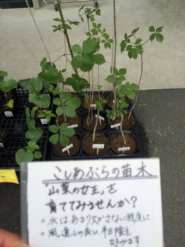 20150527214815