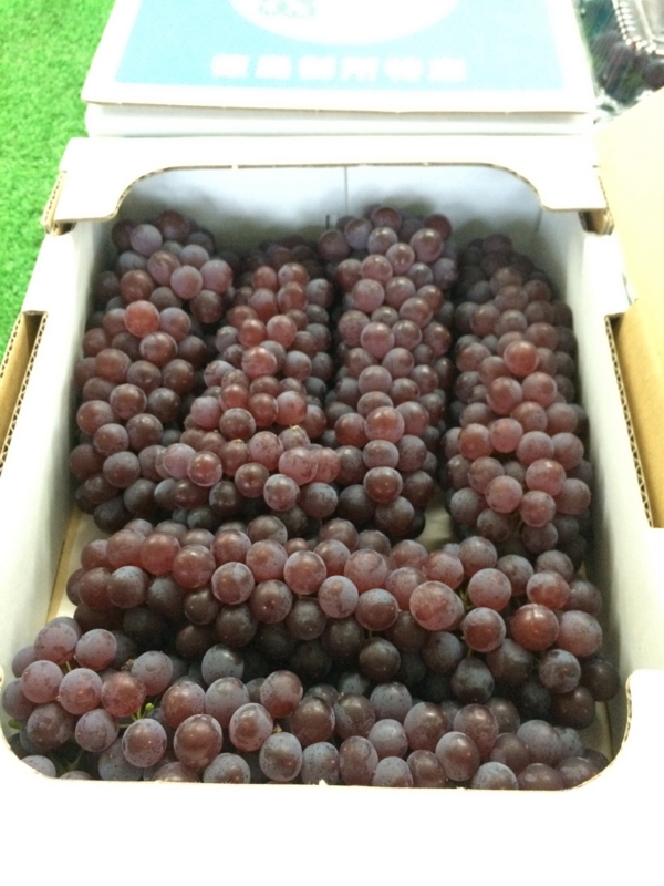 20150710054720