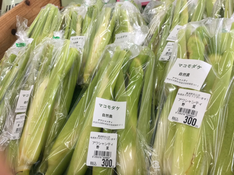 f:id:kitanoanshinichi:20151005132042j:image f:id:kitanoanshinichi:20151005132042j:image