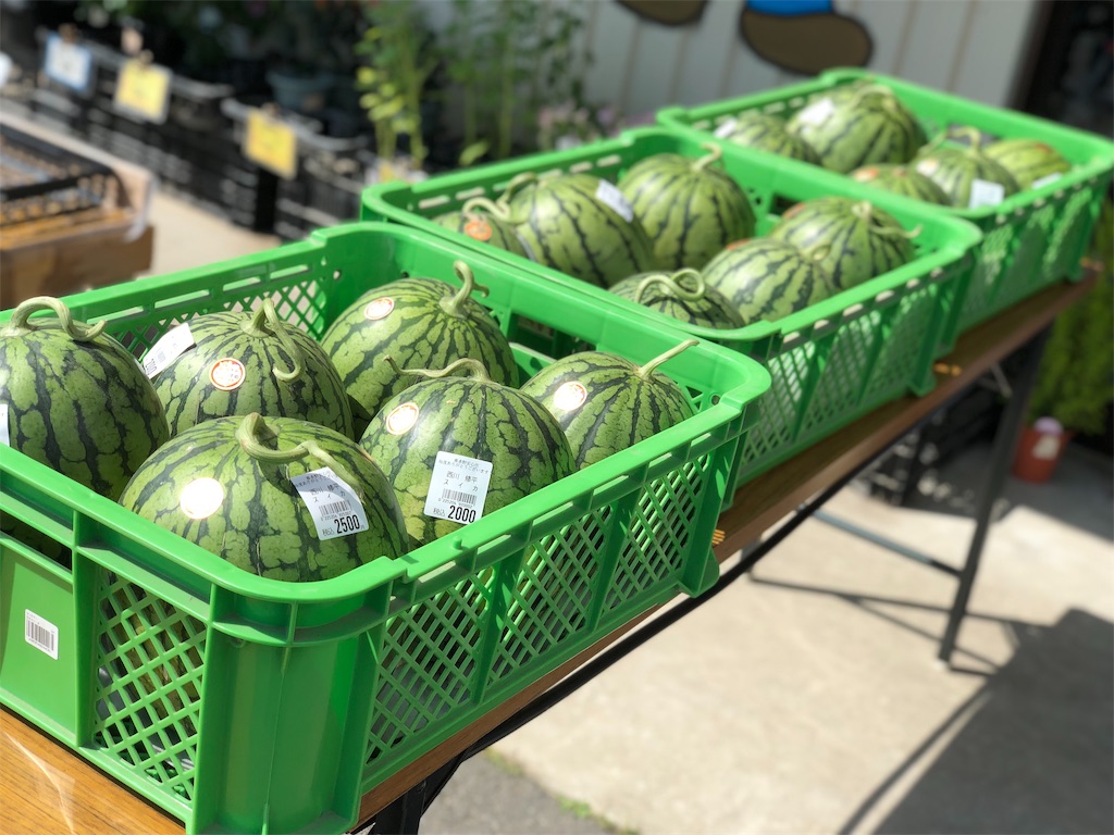f:id:kitanoanshinichi:20190610160002j:plain