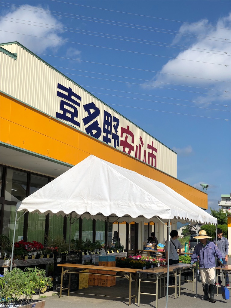 f:id:kitanoanshinichi:20190610160009j:plain