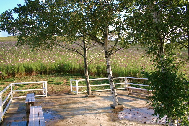 f:id:kitanodaichiphoto1:20091015010141j:image f:id:kitanodaichiphoto1:20091015010141j:image