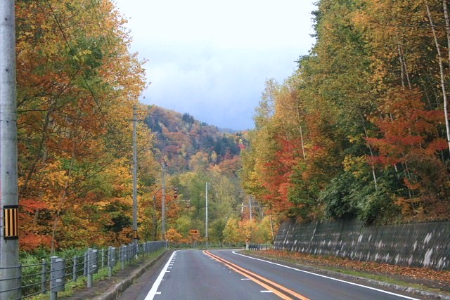 f:id:kitanodaichiphoto1:20091018233343j:image f:id:kitanodaichiphoto1:20091018233343j:image