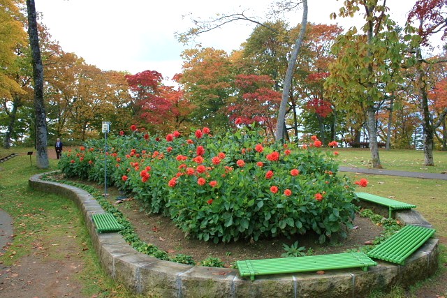 f:id:kitanodaichiphoto1:20091018233455j:image f:id:kitanodaichiphoto1:20091018233455j:image