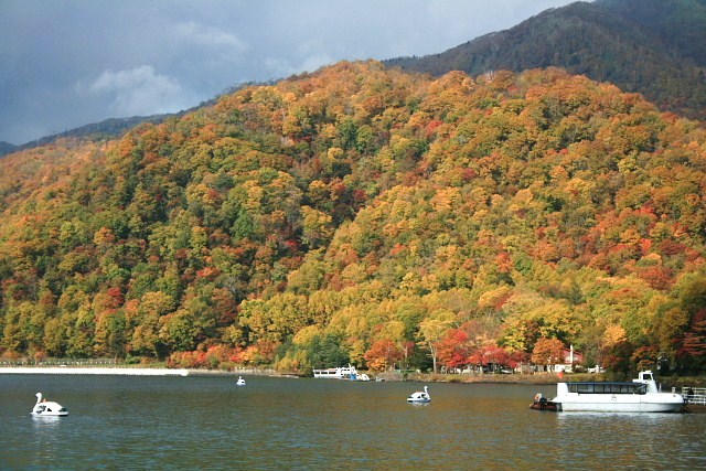 f:id:kitanodaichiphoto1:20091018234334j:image f:id:kitanodaichiphoto1:20091018234334j:image