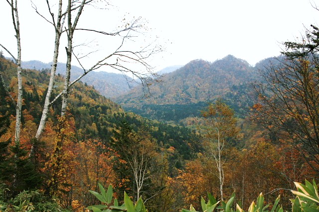 f:id:kitanodaichiphoto1:20091020231132j:image f:id:kitanodaichiphoto1:20091020231132j:image