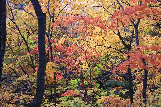 f:id:kitanodaichiphoto1:20091020231713j:image f:id:kitanodaichiphoto1:20091020231713j:image