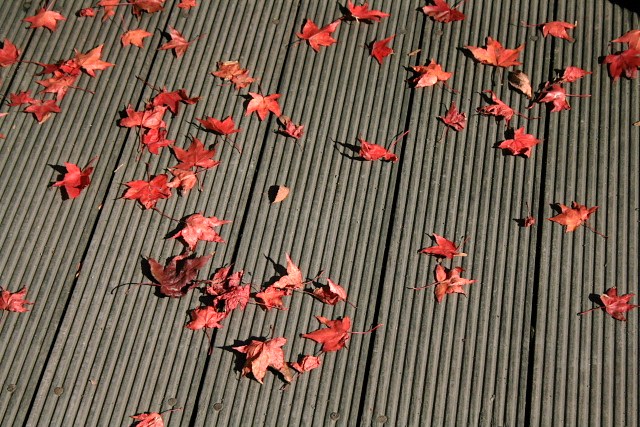 f:id:kitanodaichiphoto1:20091025170306j:image f:id:kitanodaichiphoto1:20091025170306j:image