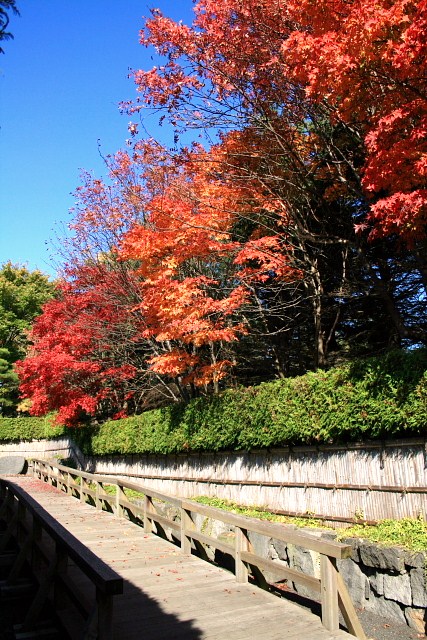 f:id:kitanodaichiphoto1:20091025170322j:image f:id:kitanodaichiphoto1:20091025170322j:image