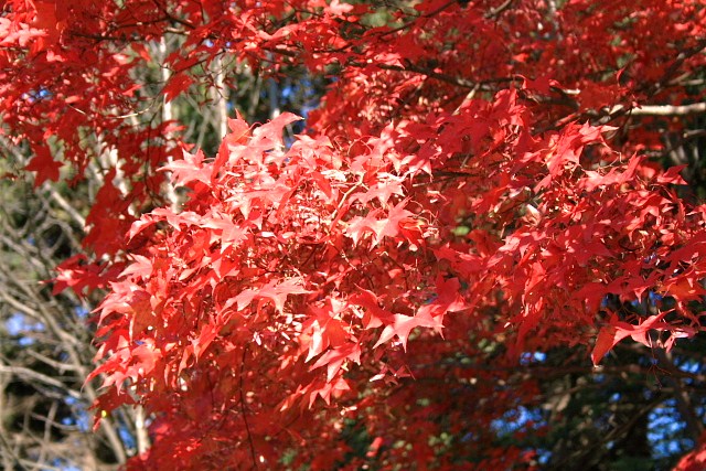 f:id:kitanodaichiphoto1:20091025170738j:image f:id:kitanodaichiphoto1:20091025170738j:image