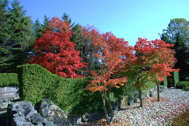 f:id:kitanodaichiphoto1:20091025172250j:image f:id:kitanodaichiphoto1:20091025172250j:image
