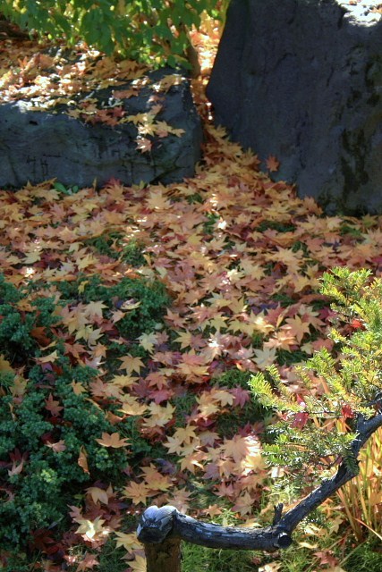 f:id:kitanodaichiphoto1:20091025172926j:image f:id:kitanodaichiphoto1:20091025172926j:image