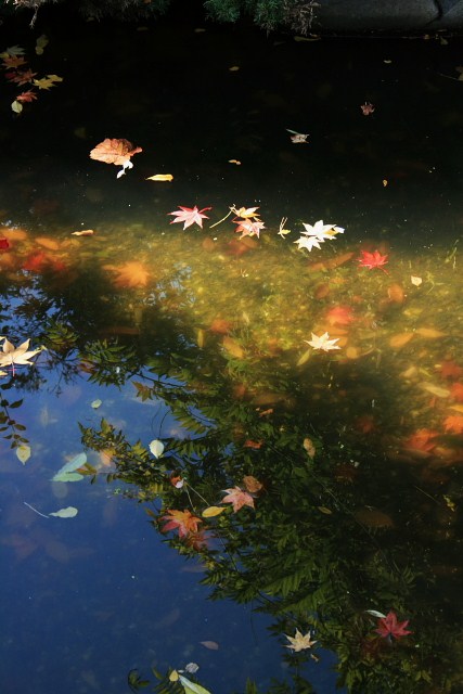 f:id:kitanodaichiphoto1:20091025172927j:image f:id:kitanodaichiphoto1:20091025172927j:image