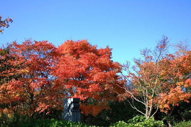f:id:kitanodaichiphoto1:20091025175142j:image f:id:kitanodaichiphoto1:20091025175142j:image