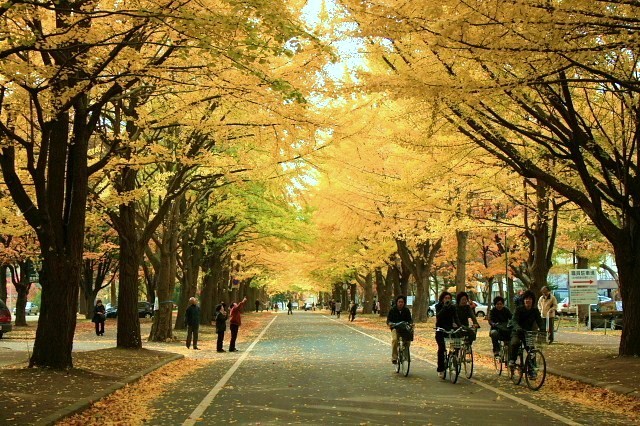 f:id:kitanodaichiphoto1:20091101003723j:image f:id:kitanodaichiphoto1:20091101003723j:image