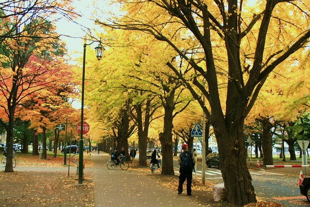 f:id:kitanodaichiphoto1:20091101003725j:image f:id:kitanodaichiphoto1:20091101003725j:image