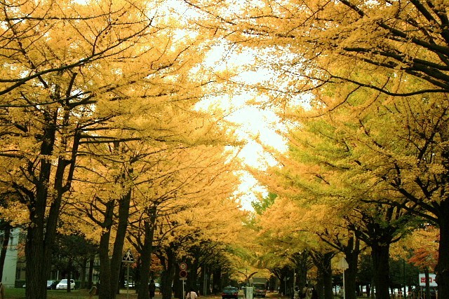 f:id:kitanodaichiphoto1:20091101003726j:image f:id:kitanodaichiphoto1:20091101003726j:image