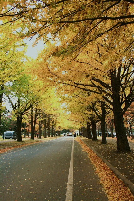 f:id:kitanodaichiphoto1:20091101003839j:image f:id:kitanodaichiphoto1:20091101003839j:image