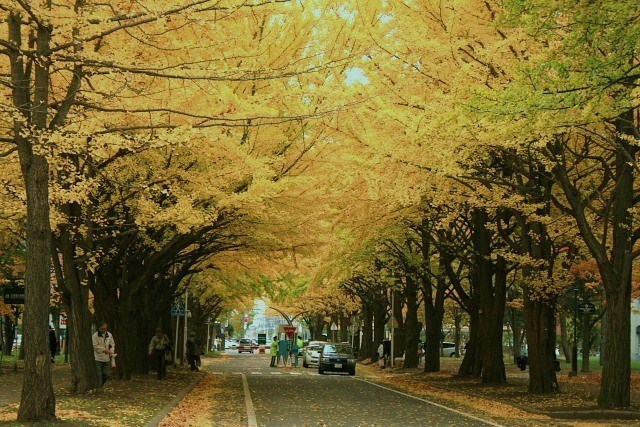 f:id:kitanodaichiphoto1:20091101003844j:image f:id:kitanodaichiphoto1:20091101003844j:image