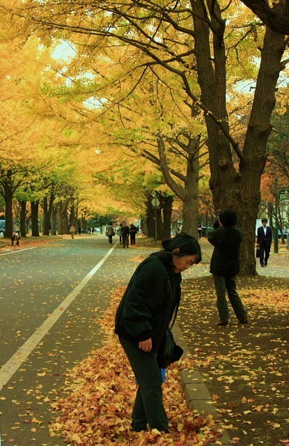 f:id:kitanodaichiphoto1:20091101003845j:image f:id:kitanodaichiphoto1:20091101003845j:image