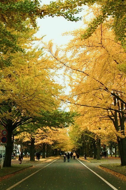 f:id:kitanodaichiphoto1:20091101004018j:image f:id:kitanodaichiphoto1:20091101004018j:image