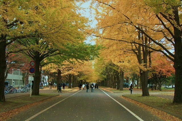 f:id:kitanodaichiphoto1:20091101004019j:image f:id:kitanodaichiphoto1:20091101004019j:image
