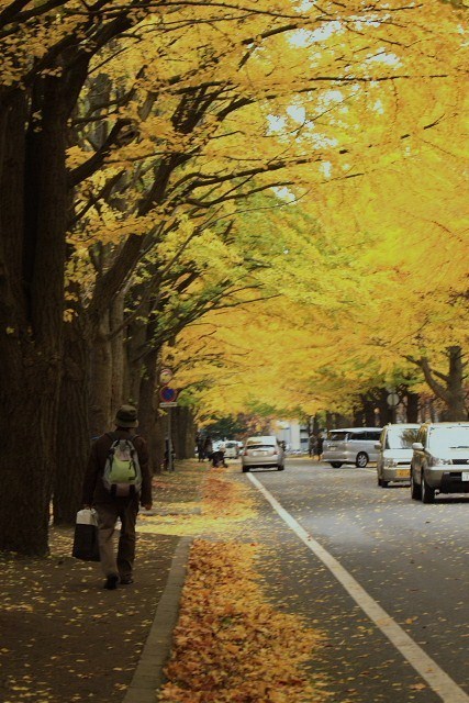 f:id:kitanodaichiphoto1:20091101004145j:image f:id:kitanodaichiphoto1:20091101004145j:image
