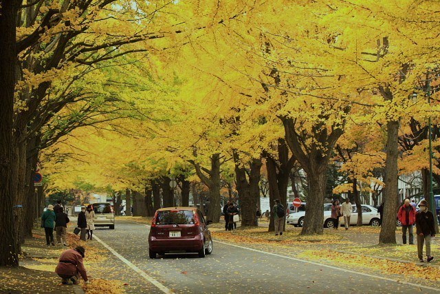 f:id:kitanodaichiphoto1:20091101004146j:image f:id:kitanodaichiphoto1:20091101004146j:image
