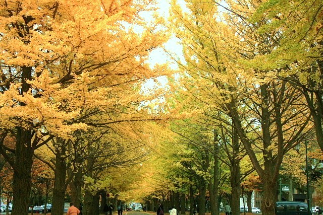 f:id:kitanodaichiphoto1:20091101004148j:image f:id:kitanodaichiphoto1:20091101004148j:image