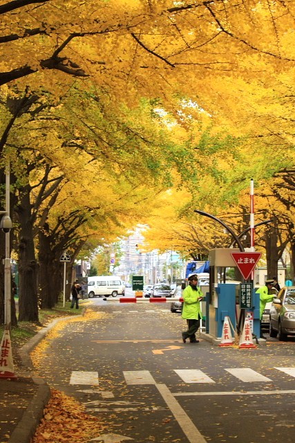 f:id:kitanodaichiphoto1:20091101004321j:image f:id:kitanodaichiphoto1:20091101004321j:image