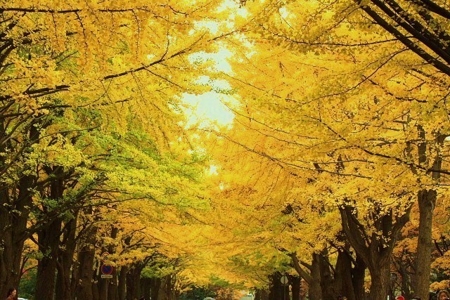 f:id:kitanodaichiphoto1:20091101004325j:image f:id:kitanodaichiphoto1:20091101004325j:image